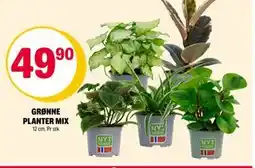 Coop Extra GRØNNE PLANTER MIX, NOK 49.9 tilbud