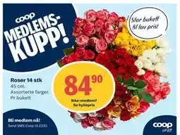 Coop Extra Roser 14 stk, Medlemspris tilbud