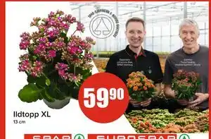 Spar Ildtopp XL, NOK 59.9 tilbud