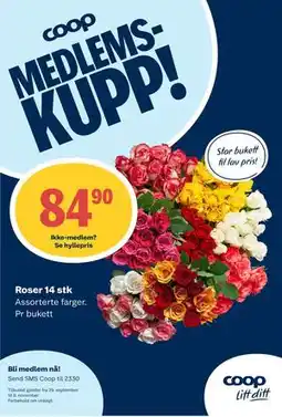 Matkroken Roser 14 stk, Medlemspris tilbud