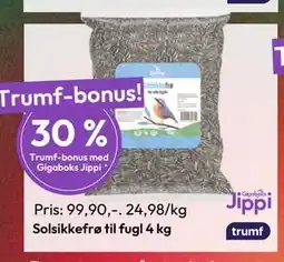 Gigaboks Solsikkefrø til fugl 4 kg., NOK 99.9 tilbud