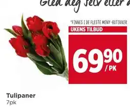 Meny Tulipaner, NOK 69.9 tilbud