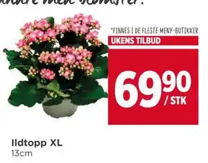 Meny Ildtopp XL, NOK 69.9 tilbud