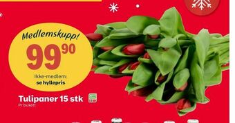 Coop Extra Tulipaner 15 stk tilbud
