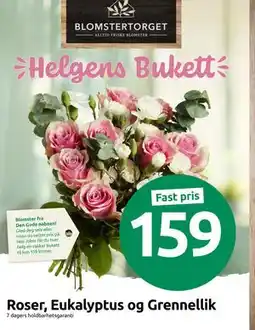 Joker Roser, Eukalyptus og Grennellik, NOK 159 tilbud