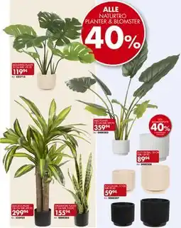 Sparkjøp ALLE NATURTRO PLANTER & BLOMSTER tilbud