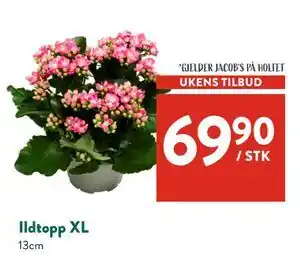 Jacobs Ildtopp XL, NOK 69.9 tilbud
