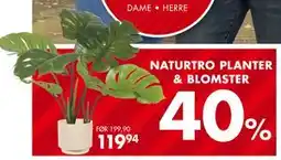 Sparkjøp NATURTRO PLANTER & BLOMSTER, NOK 119.94 tilbud