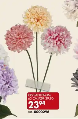 Sparkjøp KRYSANTEMUM 63 CM, NOK 23.94 tilbud