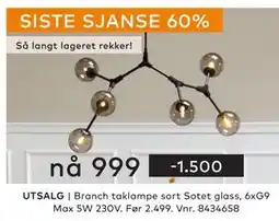 Skeidar Branch taklampe, NOK 999 tilbud