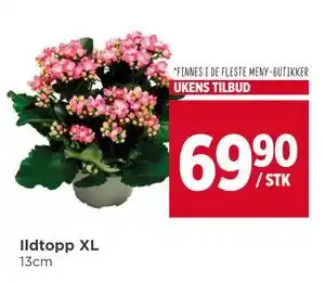 Meny Ildtopp XL, NOK 69.9 tilbud