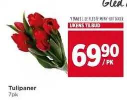 Meny Tulipaner, NOK 69.9 tilbud