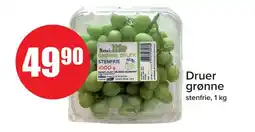 Spar DRUER GRØNNE tilbud