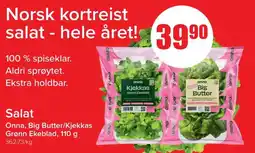 Spar Salat tilbud