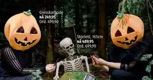 Gresskarhode, NOK 249.95