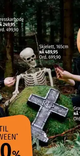 Nille Skjelett, 165cm, NOK 489.95 tilbud