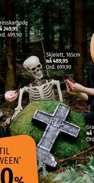 Nille Skjelett, 165cm, NOK 489.95 tilbud