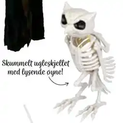 Nille Ugleskjelett m/lysende øyne, NOK 209.95 tilbud