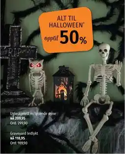 Nille Ugleskjelett m/lysende øyne, NOK 209.95 tilbud