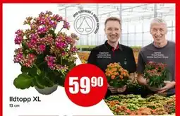 Spar Ildtopp XL, NOK 59.9 tilbud