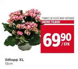 Meny Ildtopp XL, NOK 69.9 tilbud