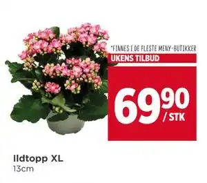 Meny Ildtopp XL, NOK 69.9 tilbud