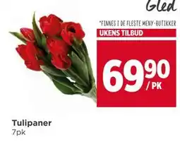 Meny Tulipaner, NOK 69.9 tilbud