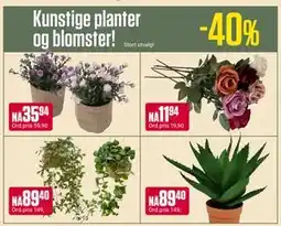 Europris Kunstige planter og blomster! tilbud