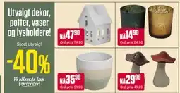Europris Utvalgt dekor, potter, vaser og lysholdere! tilbud