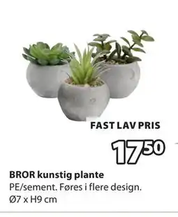 JYSK BROR kunstig plante, NOK 17.5 tilbud