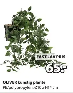 JYSK OLIVER kunstig plante, NOK 65 tilbud