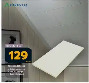 Megaflis Forestia tak-ess, NOK 129 tilbud