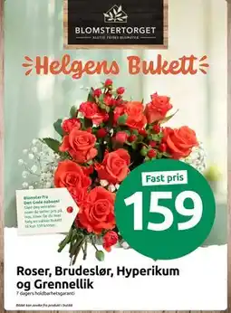 Joker Roser, Brudeslør, Hyperikum og Grennellik, NOK 159 tilbud