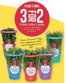 CC Mat Friske urter i potte tilbud