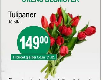 Joker Tulipaner tilbud