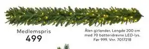 Skeidar Ålen girlander,, Medlemspris tilbud