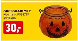 jem & fix GRESSKARLYKT, NOK 30 tilbud