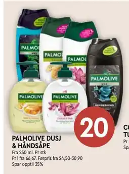 Coop Mega PALMOLIVE DUSJ & HÅNDSÅPE, NOK 20 tilbud