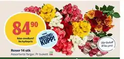 Coop Mega Roser 14 stk, Medlemspris tilbud