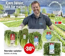 Spar Norske salater tilbud