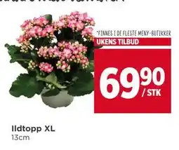 Meny Ildtopp XL, NOK 69.9 tilbud