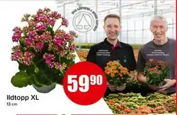 Spar Ildtopp XL, NOK 59.9 tilbud