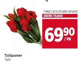 Meny Tulipaner, NOK 69.9 tilbud