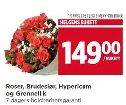 Meny Roser, Brudeslør, Hypericum og Grennellik, NOK 149 tilbud