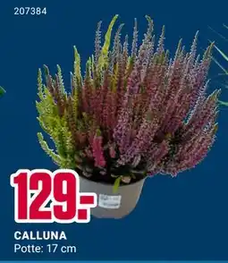 Europris CALLUNA, NOK 129 tilbud