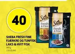 Bunnpris SHEBA FRESH FINE FJÆRKRE OG TUNFISK LAKS & HVIT FISK, NOK 40 tilbud