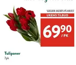 Jacobs Tulipaner, NOK 69.9 tilbud