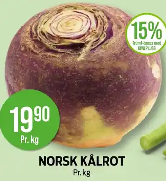 Norsk kålrot