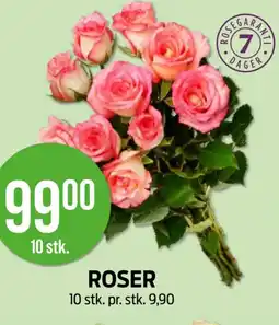 Kiwi Roser tilbud