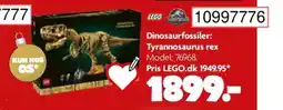 BR Leker Dinosaurfossiler: tyrannosaurus rex tilbud